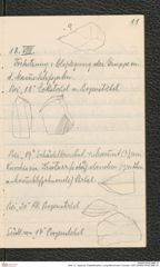 Seite 15, Tagebuch "Paläolithstation | Lang-Mannersdorf | Parzelle 1325" (NHMW-PRAE-BBB-16)